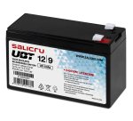 Salicru UBT 12/9