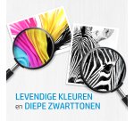HP 364 - fotozwart - origineel - inktcartridge (foto)