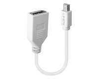 Lindy 41021 cable DisplayPort 0,15 m Mini DisplayPort Blanco