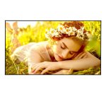 LG 86UL5Q-E Pantalla plana para señalización digital 2,18 m (86") LED Wifi 350 cd / m² 4K Ultra HD Negro WebOS 24/7