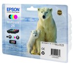 Epson Polar bear Encre Claria Premium multipack 4 couleurs Ours Polaire 26