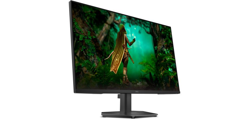 DELL SE2725HG computer monitor 68.6 cm (27") 1920 x 1080 pixels Full HD LCD Black
