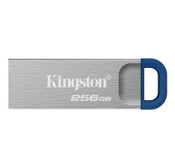 Kingston Technology DataTraveler 256 Go Kyson USB 3.2 Gen 1 en métal, jusqu'à 220 Mo/s