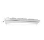 DELL Clavier filaire - KB216 - États-Unis international (QWERTY) - blanc