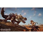 Sony Interactive Entertainment Horizon Zero Dawn: Complete Edition - PS Hits English, Italian PlayStation 4