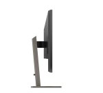 Philips P Line 439P1/00 pantalla para PC 108 cm (42.5") 3840 x 2160 Pixeles 4K Ultra HD LCD Negro
