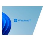 HP Z2 Mini G1a Copilot+ PC AMD Ryzen AI Max PRO 390 64 GB LPDDR5x-SDRAM 1 TB SSD Windows 11 Pro Mini PC Workstation AI Workstation, AI PC Zw