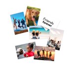 HP Papier photo mat, 180 g/m2, 10 x 15 cm (101 x 152 mm), 25 feuilles