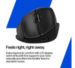 HP Tilt Ergonomic Mouse 720M