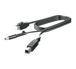 HP Câble DP et USB B vers A 300 cm pour L7016t L7014t et L7010t