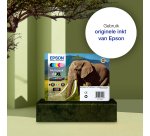 Epson 24 - magenta - origineel - inktcartridge