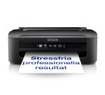 Epson WorkForce WF-2110W stampante inkjet