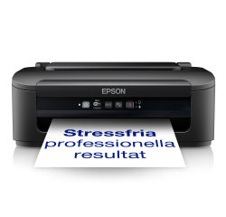 Epson WorkForce WF-2110W stampante inkjet
