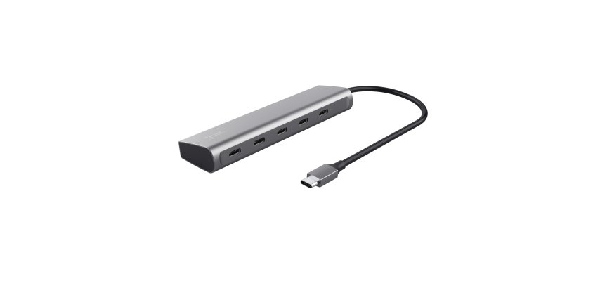 Trust Halyx USB 3.2 Gen 1 (3.1 Gen 1) Type-C Argent