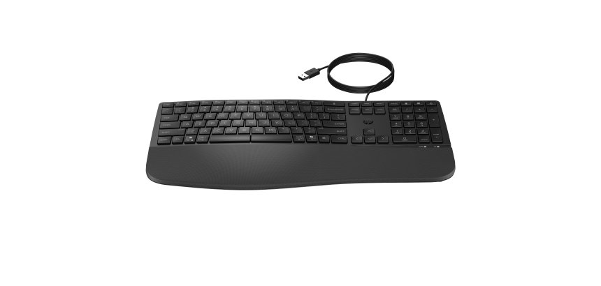 HP 485 CFT WD KBD clavier Bureau USB Noir