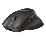 HP UF SCROLL WRLS MSE 785M EMEA-INTL EN souris