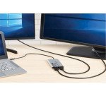Eaton U444-2H-DL câble vidéo et adaptateur 0,3 m USB Type-C HDMI Argent