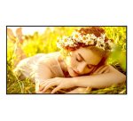 LG 43UL5Q-E pantalla de señalización Pantalla plana para señalización digital 109,2 cm (43") LED Wifi 350 cd / m² 4K Ultra HD Negro WebOS 24/7