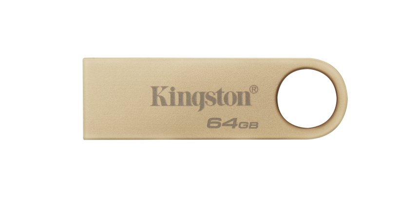 Kingston Technology DataTraveler 64Go 220Mo/s Clé USB 3.2 Gen 1 Métal SE9 G3