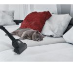 Hoover Brave BV60PET 011 2.5 L Cylinder vacuum Dry 700 W Dust bag