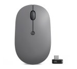 Lenovo Go souris Bureau Ambidextre RF sans fil Optique 2400 DPI