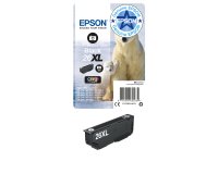 Epson Polar bear 26XL Claria Premium Single Photo Black Ink