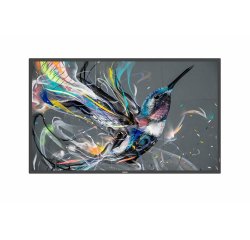 Philips 50BDL3650QE/00 Signage Display Digital signage flat panel 125.7 cm (49.5") Wi-Fi 350 cd/m² 4K Ultra HD Black Built-in processor Android 10