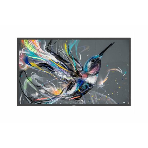 Philips 55BDL3650QE/00 Écran d'affichage dynamique Écran plat de signalisation numérique 138,7 cm (54.6") Wifi 350 cd/m² 4K Ultra HD Noir Intégré dans le processeur Android 10
