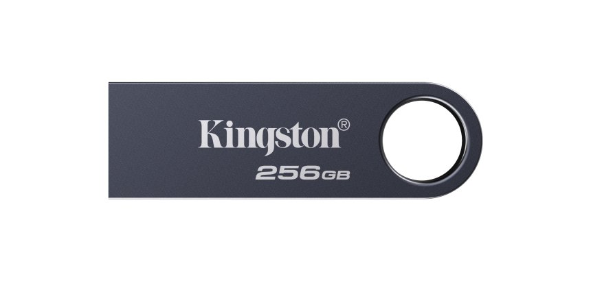 Kingston Technology DataTraveler 256GB SE9 G3 - Dark Nickel