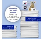 Epson Polar bear Encre magenta Claria Premium Ours Polaire 26