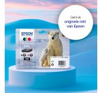 Epson 26 - cyaan - origineel - inktcartridge