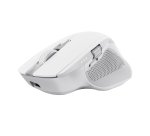 Trust Ozaa+ souris Bureau Droitier RF sans fil + Bluetooth Optique 3200 DPI