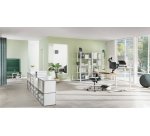 Leitz 65390089 allenamento di equilibrio Cuscino per equilibrio Grigio