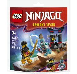 LEGO NINJAGO Arin vs. Dragonian Battle