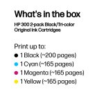 HP 300 2-pack Black/Tri-color Original Ink Cartridges