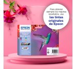 Epson T0801  (C13T08014011) Cartucho original negro de capacidad estándar (330 páginas)