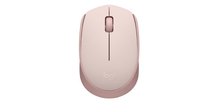 Logitech M171