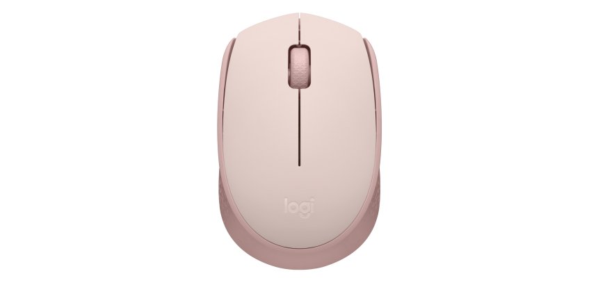 Logitech M171