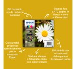 Epson Daisy Inchiostro magenta singolo Claria Home Margherita 18XL