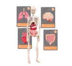 Clementoni Science & Play 19337 giocattolo e kit di scienza per bambini