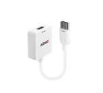 Lindy 38146 adaptador de cable de vídeo HDMI tipo A (Estándar) DisplayPort Blanco