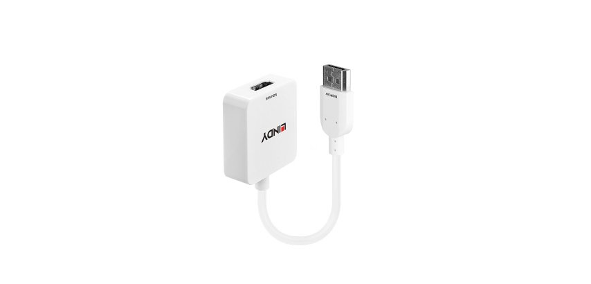 Lindy 38146 adaptador de cable de vídeo HDMI tipo A (Estándar) DisplayPort Blanco