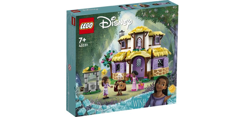 LEGO Disney Princess Asha's Cottage