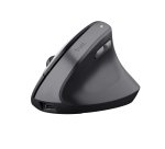 Trust TM-270 souris Bureau Droitier RF sans fil Optique 2400 DPI