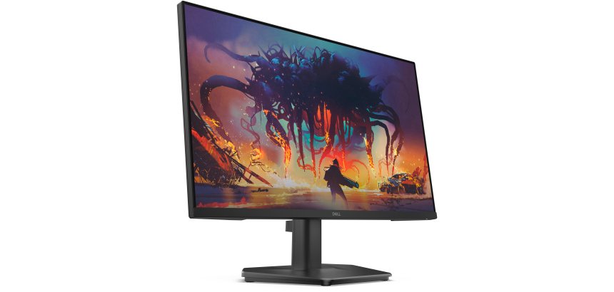 DELL SE2425HG écran plat de PC 61 cm (24") 1920 x 1080 pixels Full HD LCD Noir