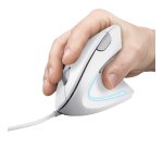 Trust Verto mouse Ufficio Mano destra USB tipo A Ottico 1600 DPI