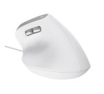 Trust Bayo II souris Bureau Droitier USB Type-A Optique 2400 DPI