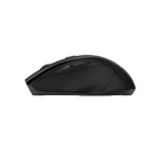 Trust Nito souris Universel Droitier RF sans fil Optique 2200 DPI
