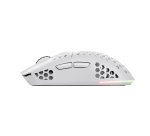 Trust GXT 929 Helox souris Gaming Droitier RF sans fil Optique 4800 DPI