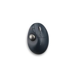 Kensington Pro Fit Ergo TB550 souris Bureau Droitier RF sans fil + Bluetooth Trackball 1600 DPI